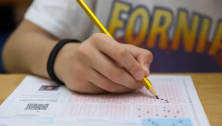 LGS’de yerleştirmeye esas ikinci nakil sonuçları açıklandı, yerleştirme süreci 22 Ağustos’ta tamamlanacak