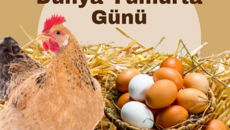 Ali Eroğlu: “Yumurta, doğal besinlerle dolu güçlü bir gelecek için stratejik bir gıdadır”